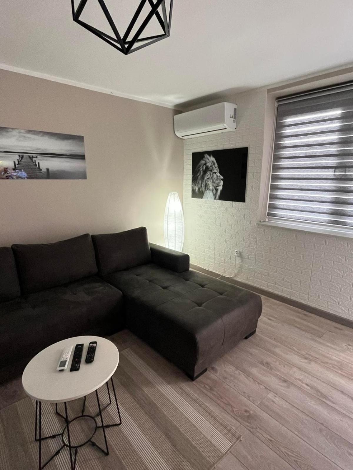 Apartman Petrov Donji Milanovac Exterior foto